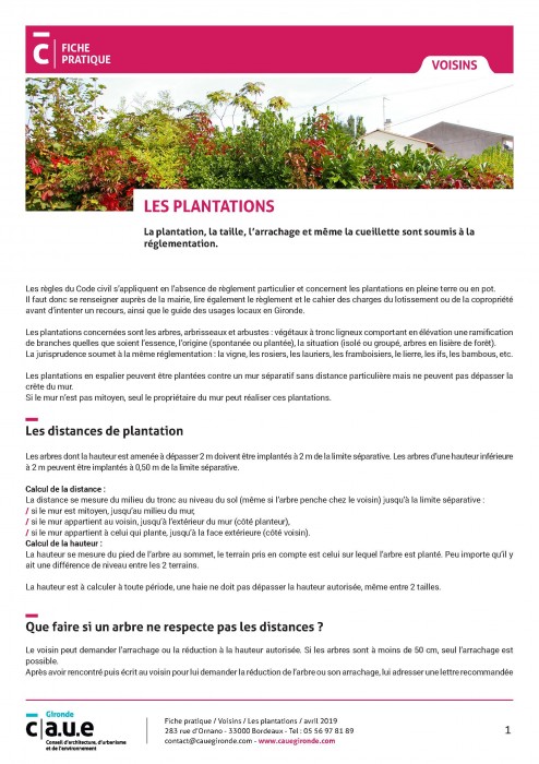 Les plantations