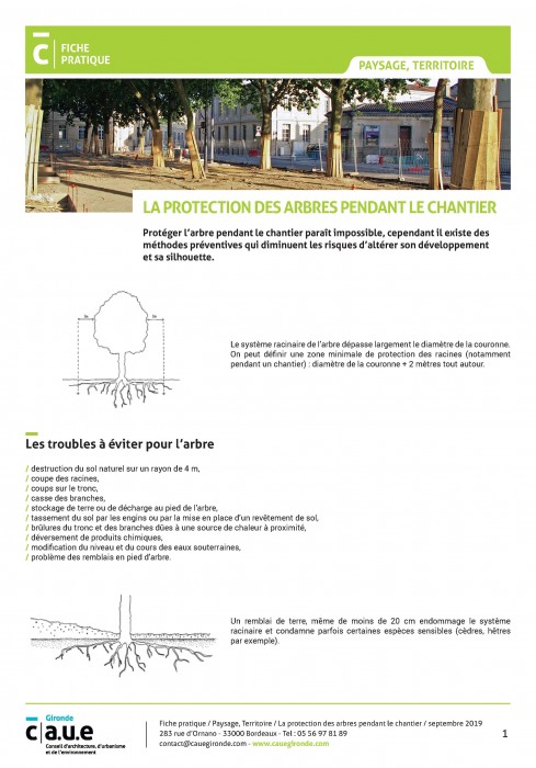La protection des arbres pendant le chantier