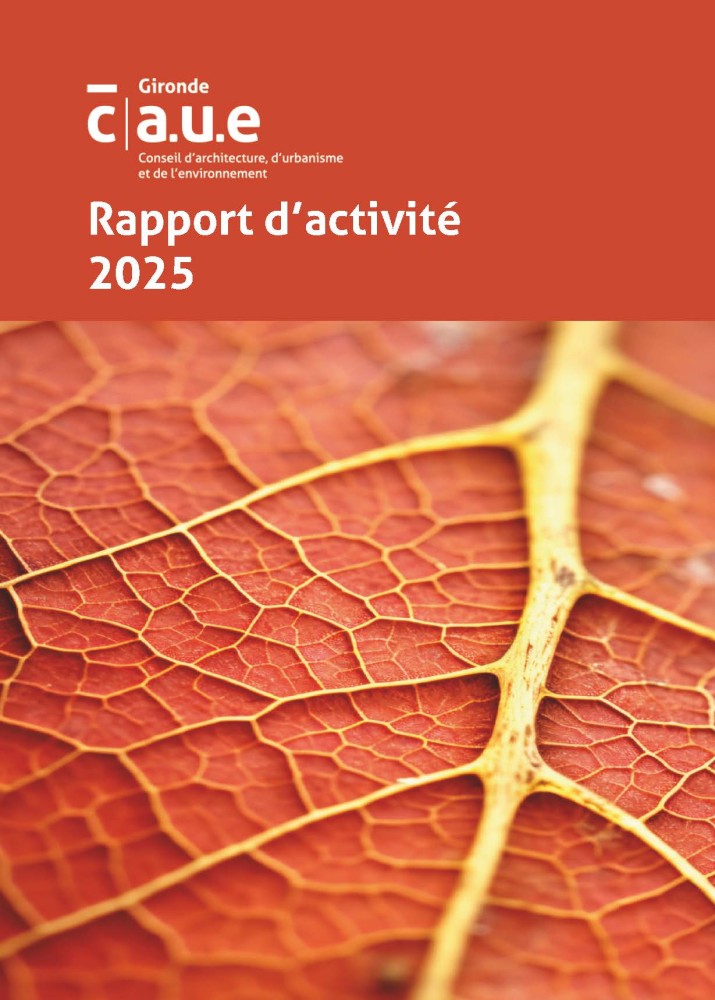 Rapport d'activités 2025