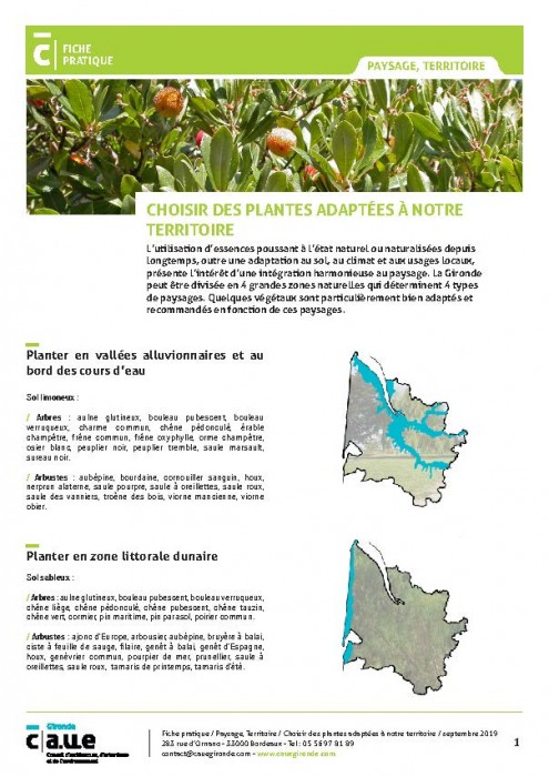 Les plantes adaptées à notre territoire