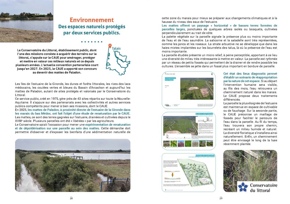 CONSEIL ENVIRONNEMENT