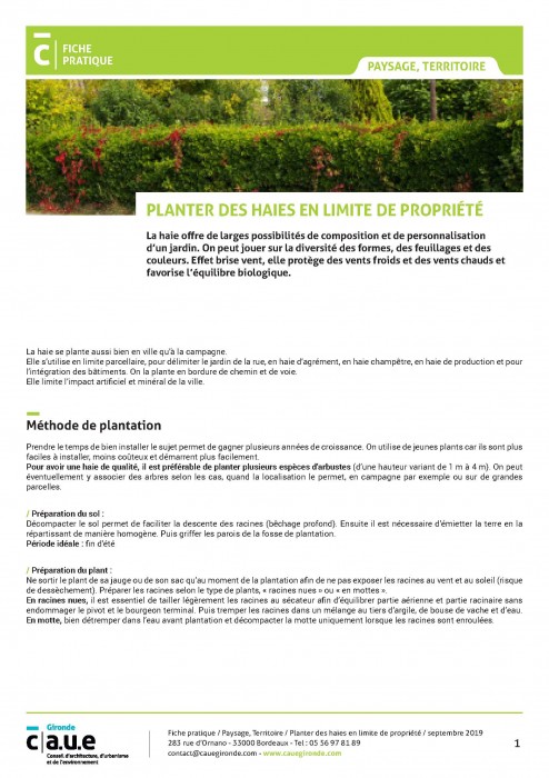 Planter des haies en limite de propriété